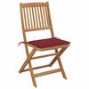 VidaXL Lot de 2 Chaises Pliables de Jardin avec Coussins, Sièges de Terrasse, Chaises de Salle à Manger, Meubles de Patio 3064653