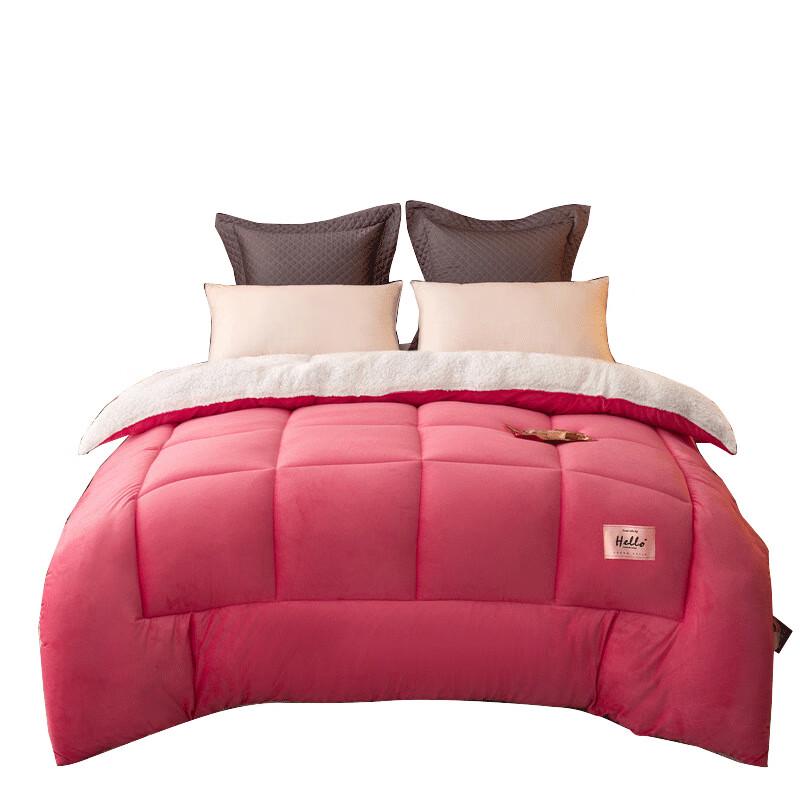 LISM Double-Sided Thickened Velvet Quilt