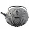 Cast Iron Kettle 1.25L Black Infuser With Strainer For Tea And Herbs