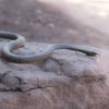 40" S-shaped Snake Prank Toy Realistic Rubber Snake Snake Model Simulated Bent Tricky Teasing Friends Props Kids