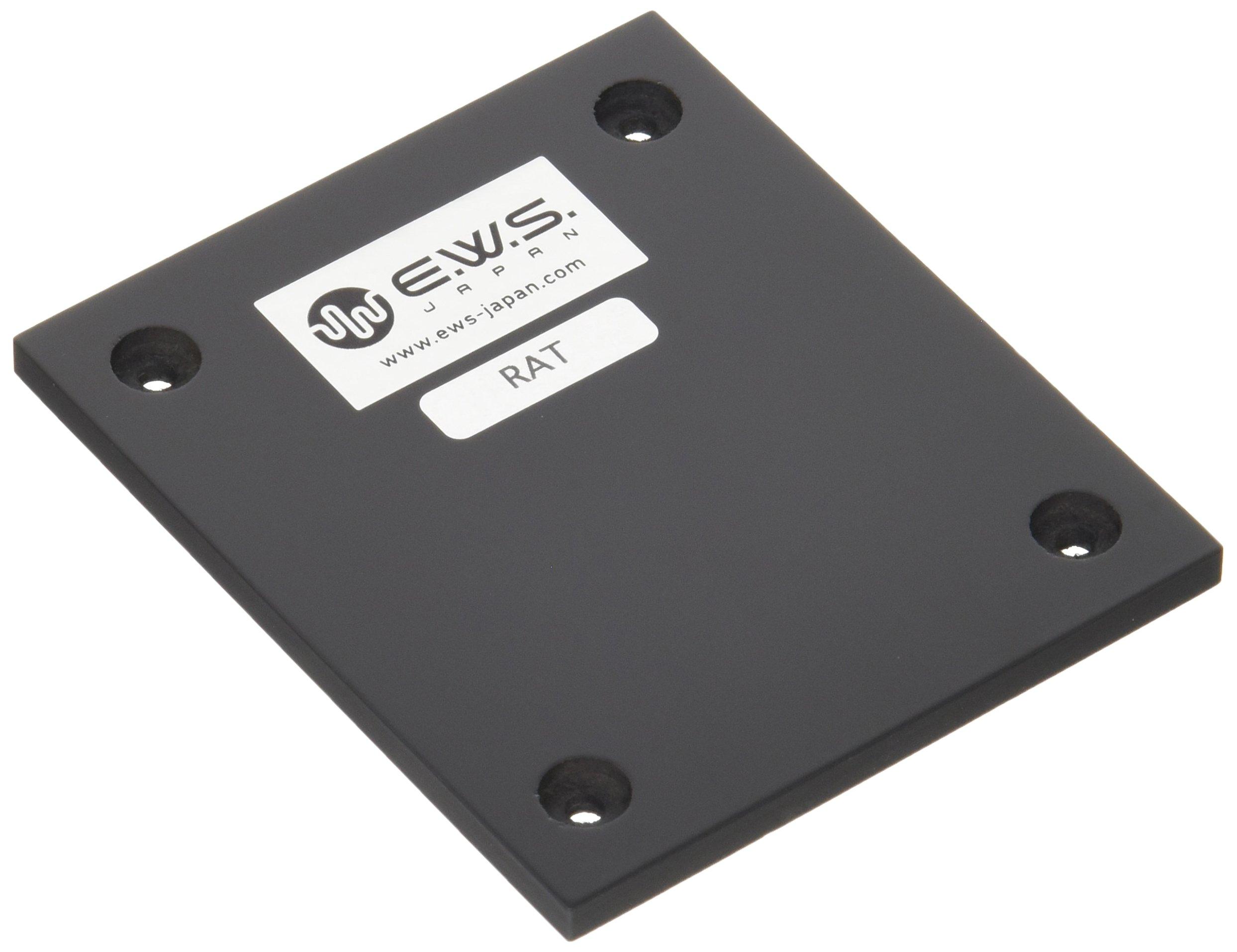 

EWS. Специальное предложение для платы RAT