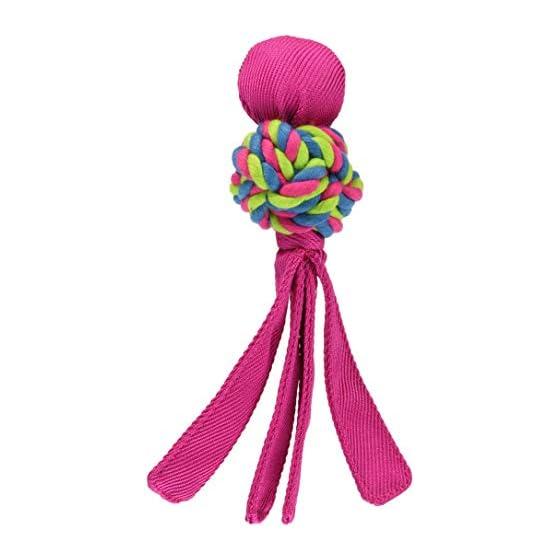 Kong Dog Toy Dental Waver Small (Pink) 7 Solutions Using Kong (Chewing, Teething, Separation Anxiety, Boredom Barking & Digging, Crate Training,