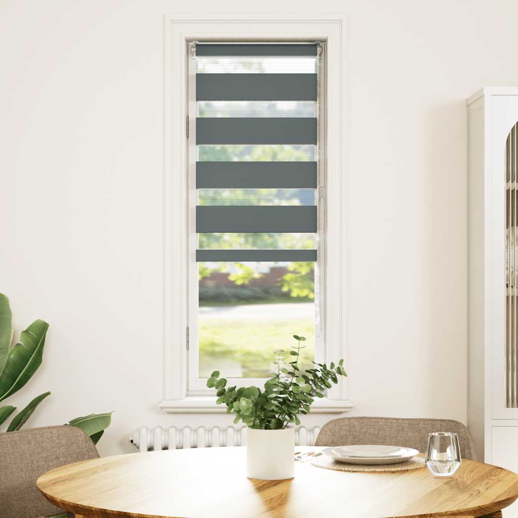 Double Roller Blind Dark Gray 50x100 cm Fabric Width 45.9 cm Polyester
