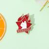 Customized Red Flame Star Cat Brooch: Backpack Decoration & Elegant Gift