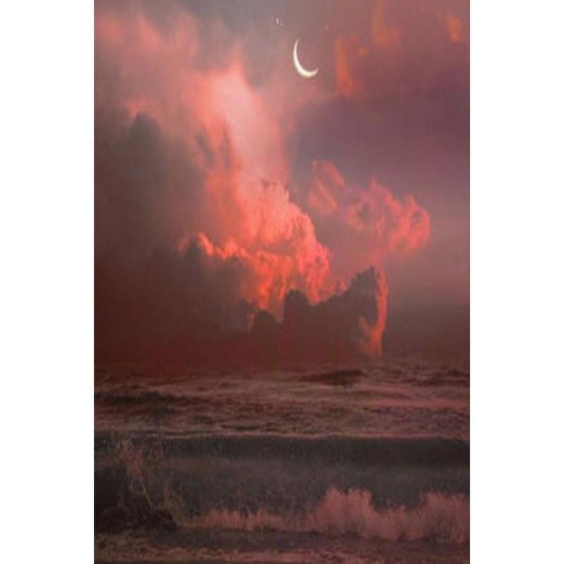 

Полный круг алмазная живопись вышивка крестом 5D ручная алмазная вышивка пейзаж животные горный хрусталь мозаика подарок украшение дома 15x20CM