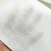 Homeglen Disposable Absorbent Towel