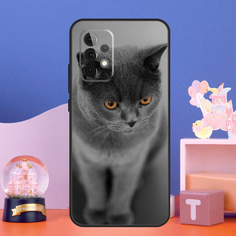 

British Shorthair Cat Case For Samsung Galaxy A55 A16 A26 A36 A56 A54 A34 A14 A15 A35 A52 A12 A32 A13 A33 A53 A17 Samsung A56