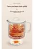 Portable Folding Electric Travel Kettle & Water Bottle
