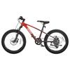 Ninebot 20-inch Children's Mountain Bike (CN version)