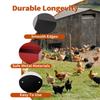 Chicken   Feeder and Grit Feeder Metal  Chicken Coop Accessories Automatic