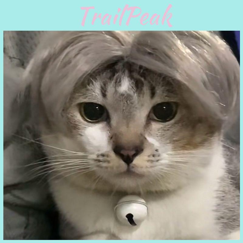 Stylish And Unique Pet Wig For Cats And Dogs Made Of Soft Nylon Fiber Ideal For Fashionable Pets