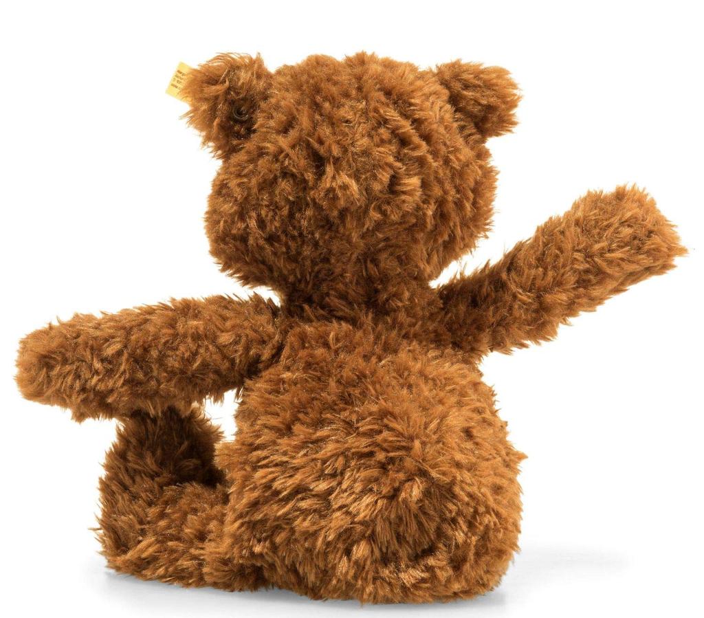 Charlie Teddy Bear 30cm Plush Toy