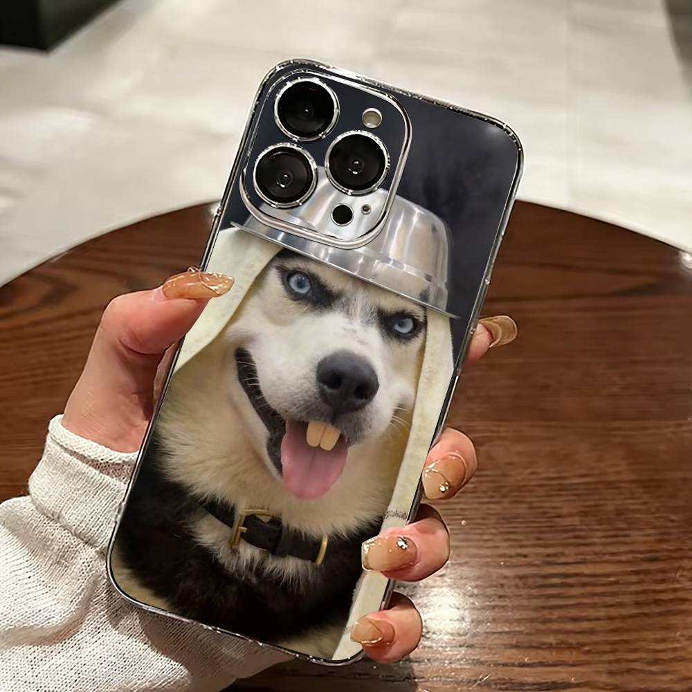 Funny Dog-g   Phone Case For iPhone 17 16 15 14 13 12 11 Mini Pro Max Plus Transparent Cover