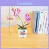 Aphrodite Faux Phalaenopsis Potted Plant 3d Printing Design For Decor Indoor
