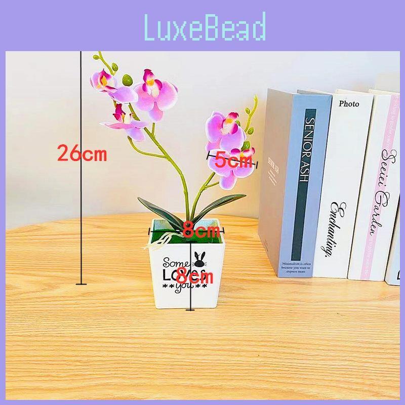 Aphrodite Faux Phalaenopsis Potted Plant 3d Printing Design For Decor Indoor