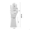Hand Mannequin Model for Jewelry Display And Organization On Desktop