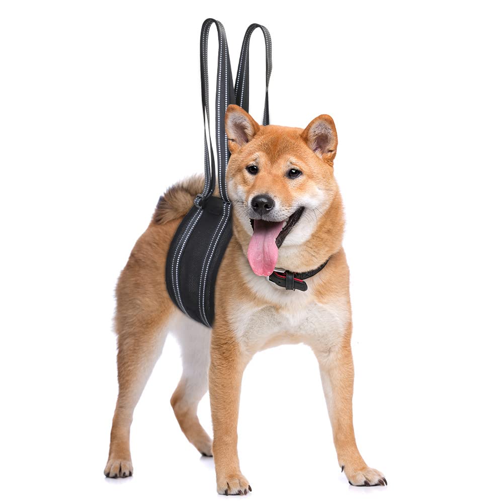 

Dog Care Walking Assistance Available in 2 Small Medium and Large Adjustable Night Mesh Material Medium and Large [Kenichi] Harness, Harness, Harness, чёрный