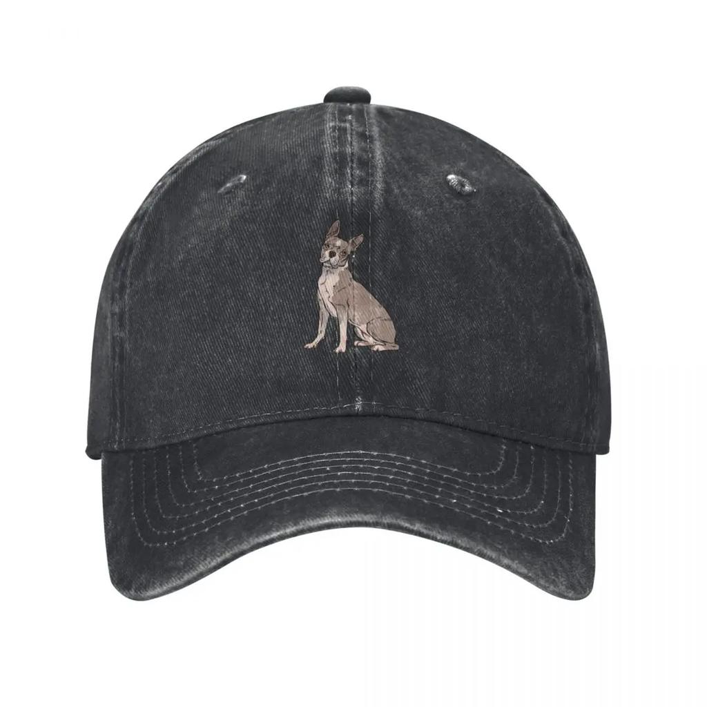 Lilac Boston Terrier Sitting Baseball Cap Hood Birthday Sunscreen New In The Hat Womens Hats Unisexs