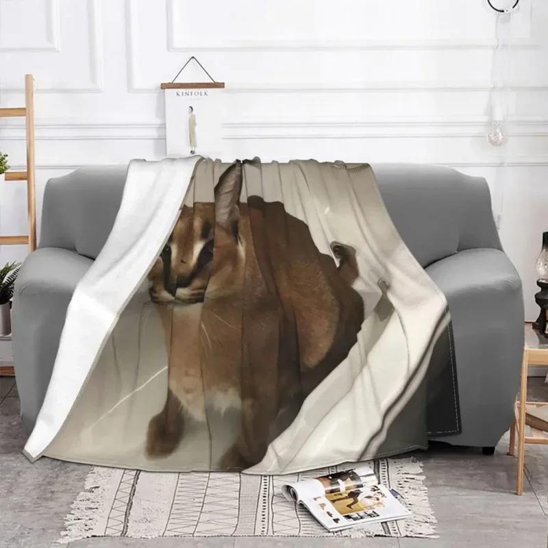 Big Floppa Caracal Cat Cute Meme Blanket Soft Coral Fleece Warm Flannel Bathtub Throw Blankets for Sofa Car Bedroom Bedspread 80x120cm(31x47inch)