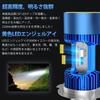 POOPEE Motorcycle LED Headlight, H4/HS1, Hi/Lo LED Bulb, Cordless, Integrated, 30W, DC9-36V, High Brightness,