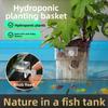 Fish Tank Transparent Hydroponic Planting Basket Wall-mounted Aquatic Planting Cup Fish Tank Green Plant Frame Fish Tank Hanging Basket