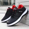 Spring, Summer and Autumn Sports and Leisure Single Shoes Lace-up Cloth Black Dirt-resistant Medium Dad Travel Shoes