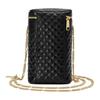 Gucci Quilted Leather Vanity Case Bag Black Gold Hardware Chain Crossbody Handbag for Women Daily Commute 572298-0YKNX-1000