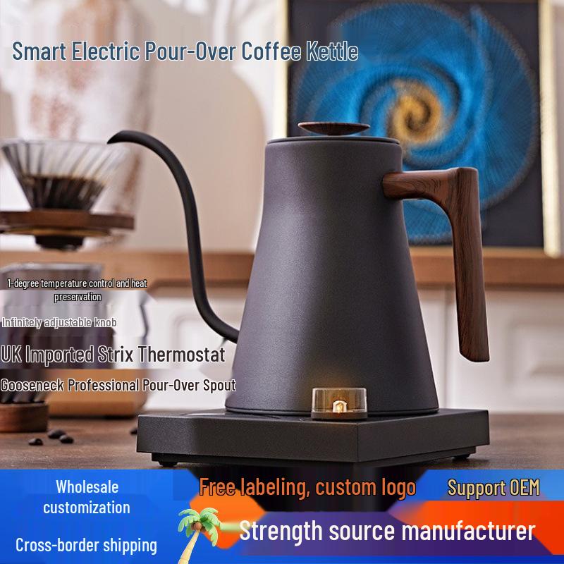 Cafetière à filtre intelligente avec contrôle de température, bec verseur fin isolé et long - Bouilloire électrique tout-en-un