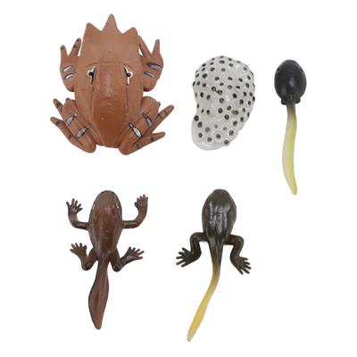 Tierfiguren Spielzeug PVC Kompakt Realistisch Kinder Kognitives Wachstum Zyklus Tiermodell Frosch Spielzeug für H