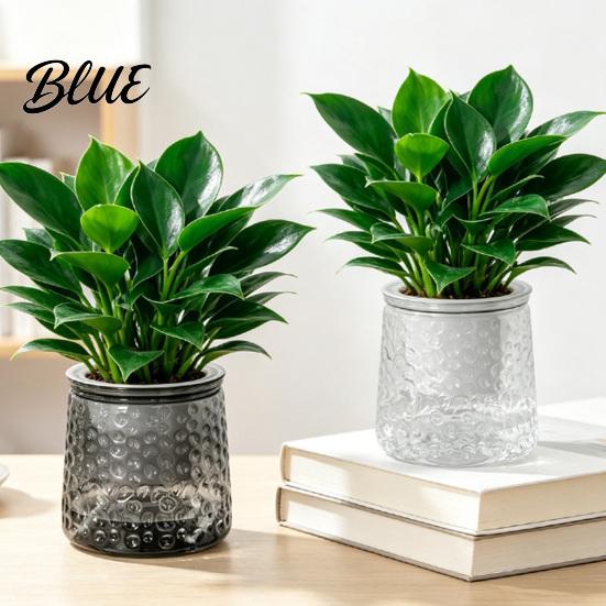 Clear Plastic Planters Self‑Watering Planter Pot Thick Transparent Flower Embossed Pothos Anthurium Growing Pots Decorative Indoor for Hydroponic