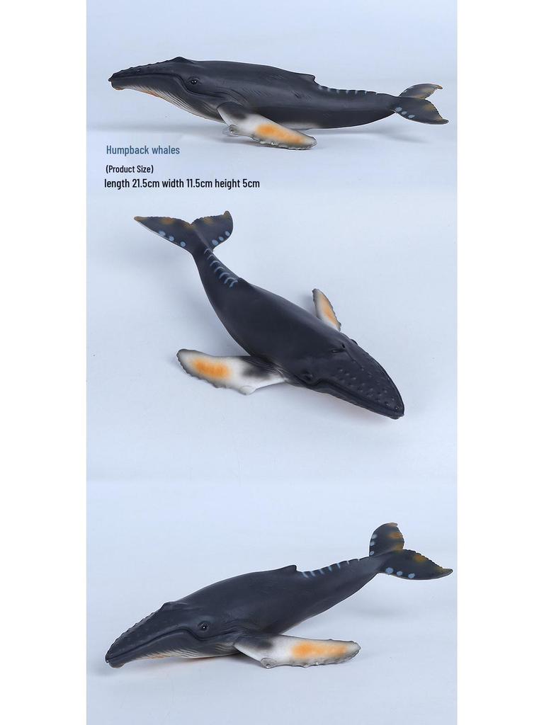 Cross-Border Marine Life Model Toy: Gray Whale, Orca, Humpback, Narwhal, Great White Shark