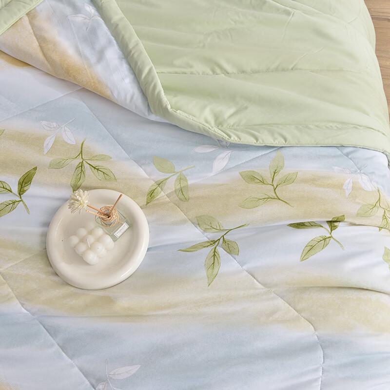 Soft & Comfortable Summer Polyester Quilt