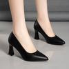 New Style Single Shoes - Women's Pointed-toe Thick-heeled High-heeled Women's Shoes