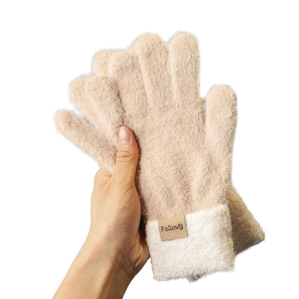 Thickened Winter Gloves Windproof Knitted Gloves Fashion Warm Gloves Women