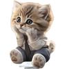 Shaking Cats Bobblehead Car Dashboard Decorations Lovely Cats Car Accessories,Dancing Cats Ornaments Cycling Home Decors