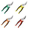 Customized Stainless Steel Pruning and Grapes Shear Set - Includes Garden Tools and Fruit Picking Scissors.
