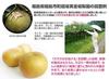 Why Do Crows Run Standard Value Pack of 5 Crow Crow Crow Garbage Crow Garbage Crow Balcony Crow Trash Bird Dropping Bird Garbage Repellent Away? Type,