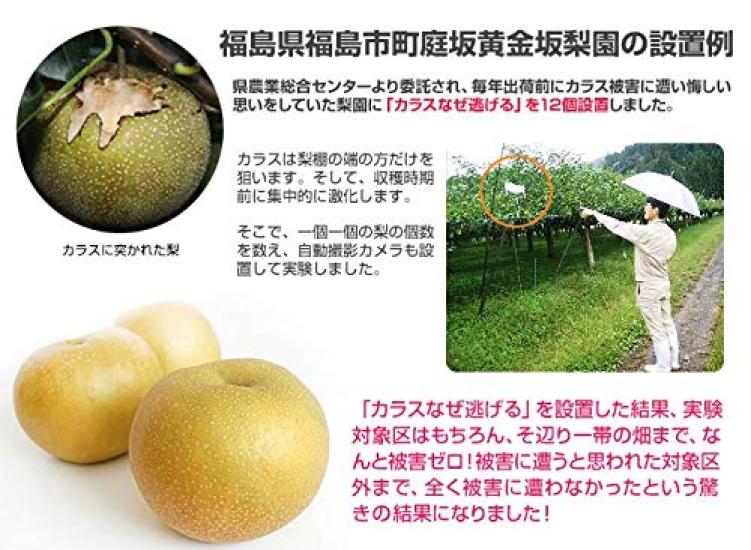 Why Do Crows Run Standard Value Pack of 5 Crow Crow Crow Garbage Crow Garbage Crow Balcony Crow Trash Bird Dropping Bird Garbage Repellent Away? Type,