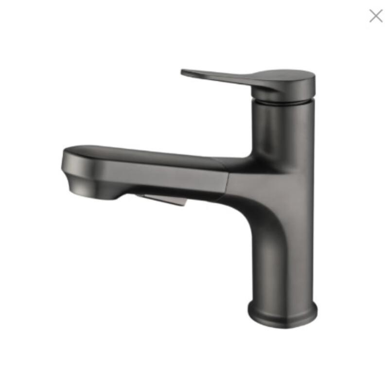 TLXT Pull-Out Basin Faucet