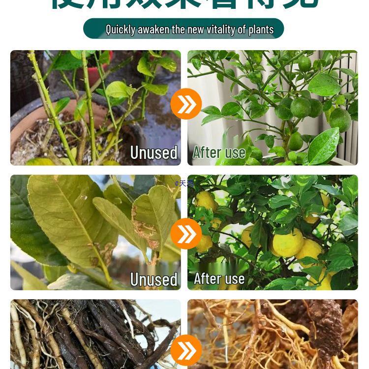 Výživový roztok bez ředění pro kyselomilné bonsaje a zelené rostliny