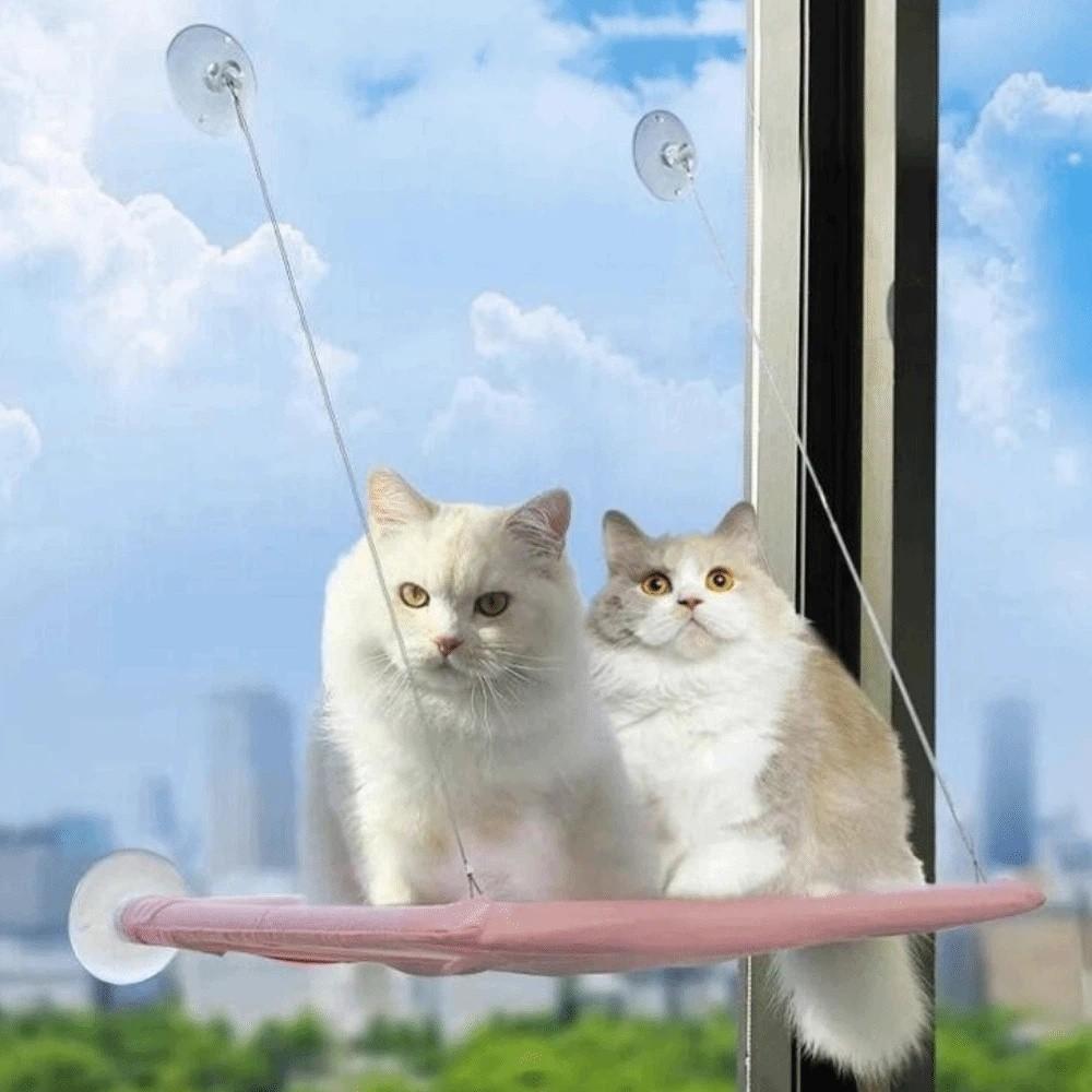 Cozy Pet Window Perch Creative Suction Cup Cat Nest Pet Nest Cat Window Hammock  Easy To Assemble