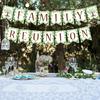 HOWAF Family Reunion Decorations, Family Reunion Banner for Home Summer Families Gatherings Party Supplies,Families Party Bunting Banner,Happiness