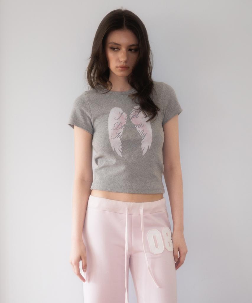 ROSEFRANTZ Angel Wing Lettering T-Shirt [Gray]