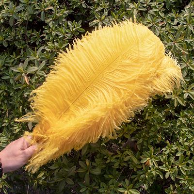 10 Pezzi Piuma di Struzzo Giallo Dorato 15-50cm Piume Sciolte Perfette per Artigianato Fai da Te Centrotavola Decorativi per Matrimonio Accessorio Decorativo