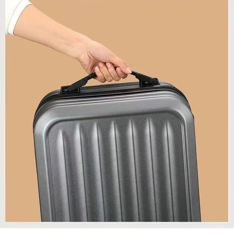 Li Shen PET Hardshell Spinner Luggage