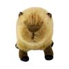 Yoshinori Riku No Friends Plush Toy Capybara S 180250