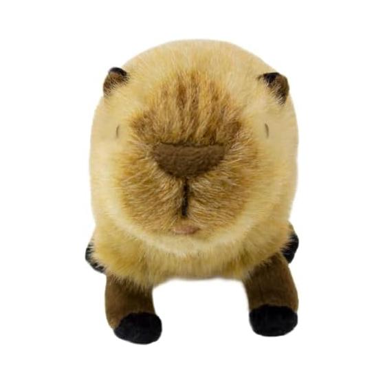 Yoshinori Riku No Friends Plush Toy Capybara S 180250