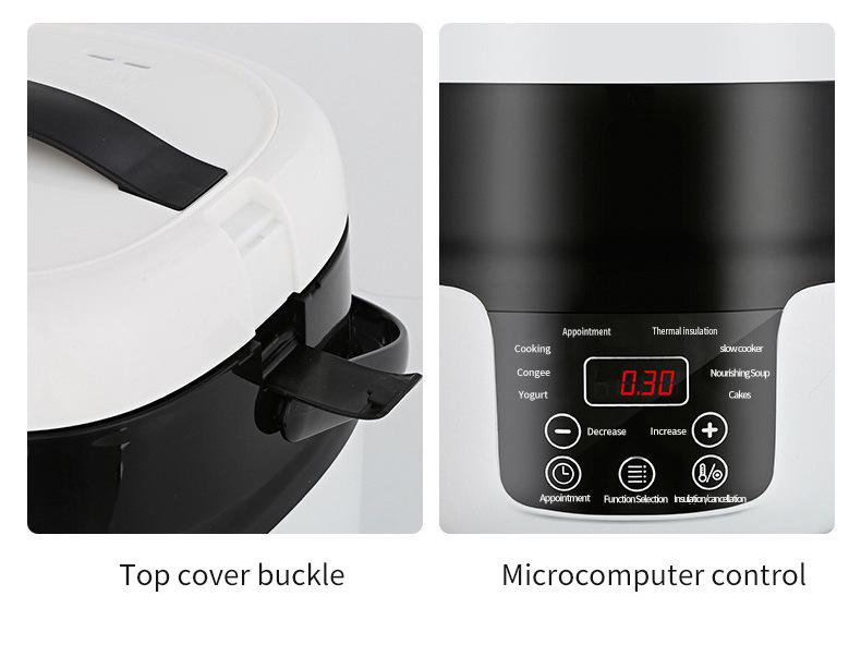 Arrocera para Coche de Doble Voltaje: 12V para automóviles, 24V para camiones