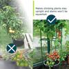 Tomato Cage, Up To 51 Inches Of Plant Stakes Vegetable Grids Assembled For Garden Climbing Plants Vegetables Flowers