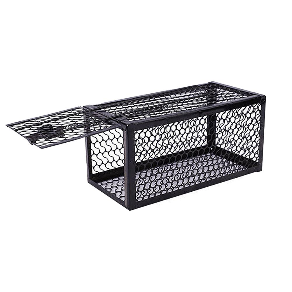 Metal